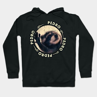 Pedro Dancing Pedro Pedro Pedro Dancing Raccoon meme funny Hoodie